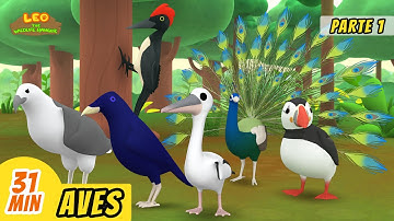 Aves Episodio Compilación [Parte 1/2] (Español) - Leo, El Explorador | Animación - Familia - Niños
