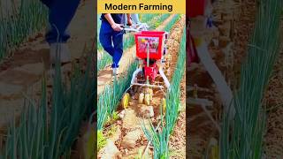 Smart Mini Weeder for Onion Crop #modernfarmer #agriculture #farming #china #satisfying #shorts