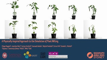 A Physically-inspired Approach to the Simulation of Plant Wilting (SIGGRAPH Asia 2023)