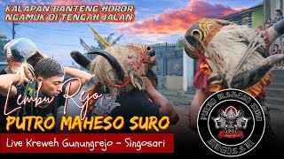 Banteng Ngamuk Ditengah Jalanputro Maheso Suro Lembu Rejo  Kalapan Horor