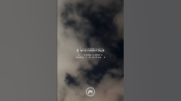 سورة هود - القارئ/ بدر التركي