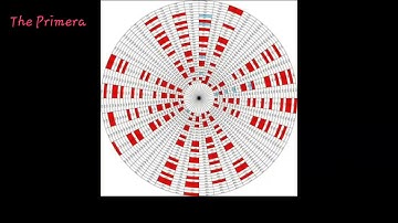 The Prime Number Mystery| WORLD SECRETS HIDDEN IN PRIME NUMBERS