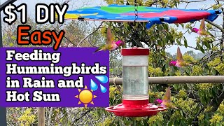 DIY Hummingbird Feeder Shade Cover HOT SUN or Rain, HUMMINGBIRDS Feeding Nectar, Gardening w/Birds