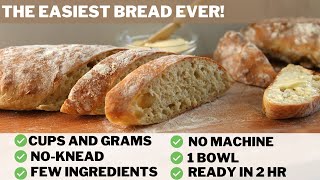 We Don't Buy Bread Anymore | Perfect beginner recipe | Fast Delicious no-knead bread! | Fuzz & Buzz