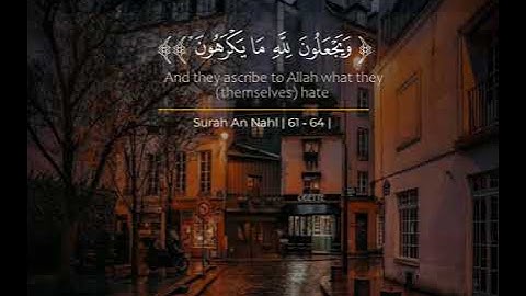 قرآن كريم بصوت عبدالرحمن مسعد || حالات واتس اب دينية