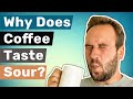 Why Does Coffee Taste Sour?