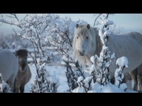 Video: Le celebrazioni invernali più strane del mondo