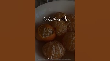 تلاوة جميلة من سورة لقمان | الشيخ إدريس أبكر