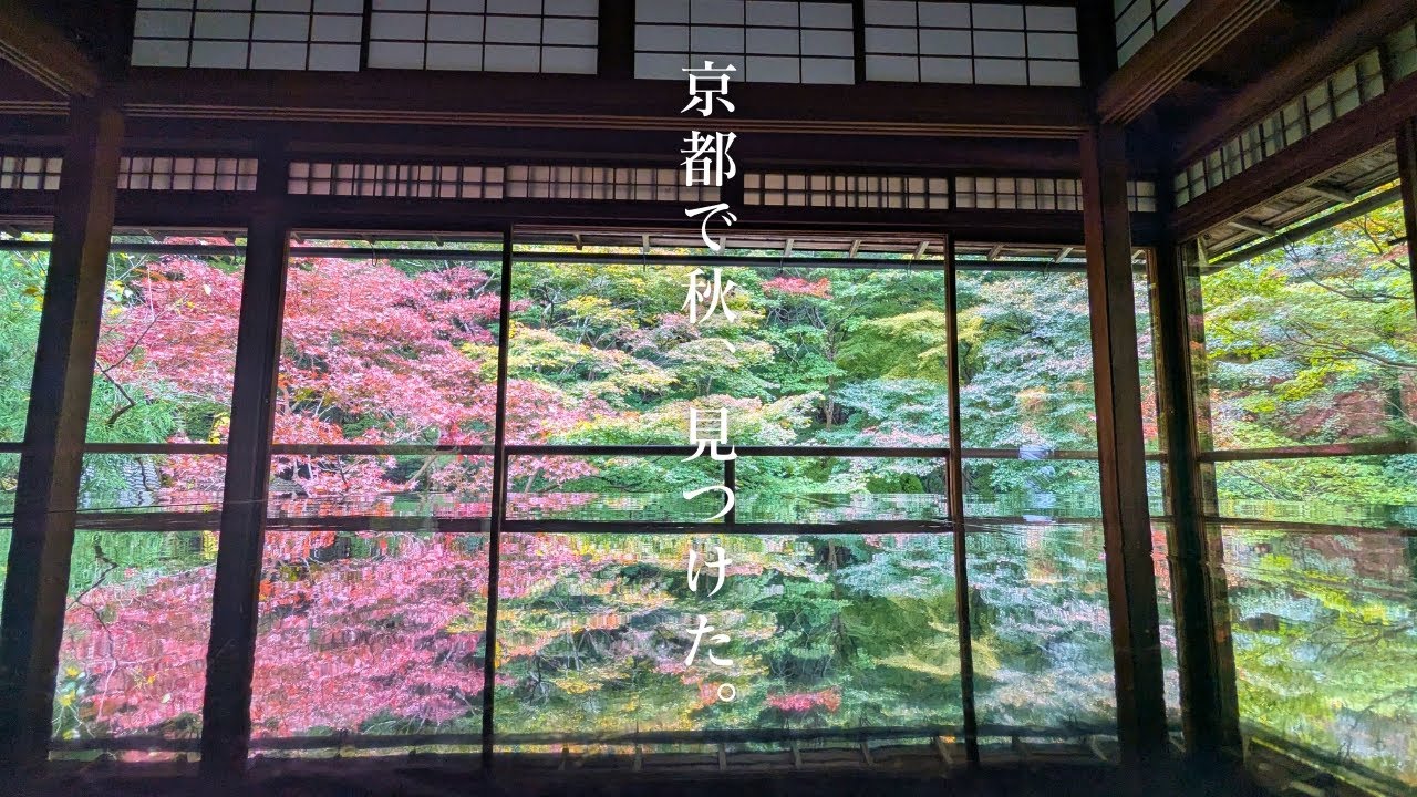 【京都北区】【瑠璃光院】DORF｜紅葉｜京都府立植物園｜珍遊｜賀茂川｜KYOTO｜CAFE｜焼肉南山