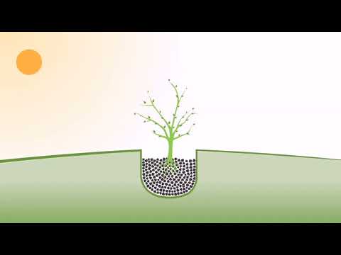Видео: Хамгийн ашигтай, тохиромжтой цэцэрлэгийн усалгааны систем