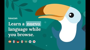 Toucan Language Learning Chrome Extension!! MUST TRY!