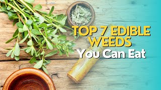 Top 7 Edible Weeds You Can Eat