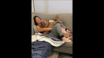 Dog Ilovemydog Anime Dog Petstagram Dogslife Instagood Happybirthday Doglife 