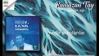 Ramazan Tay - Nedir Bu Olanlar Resimi