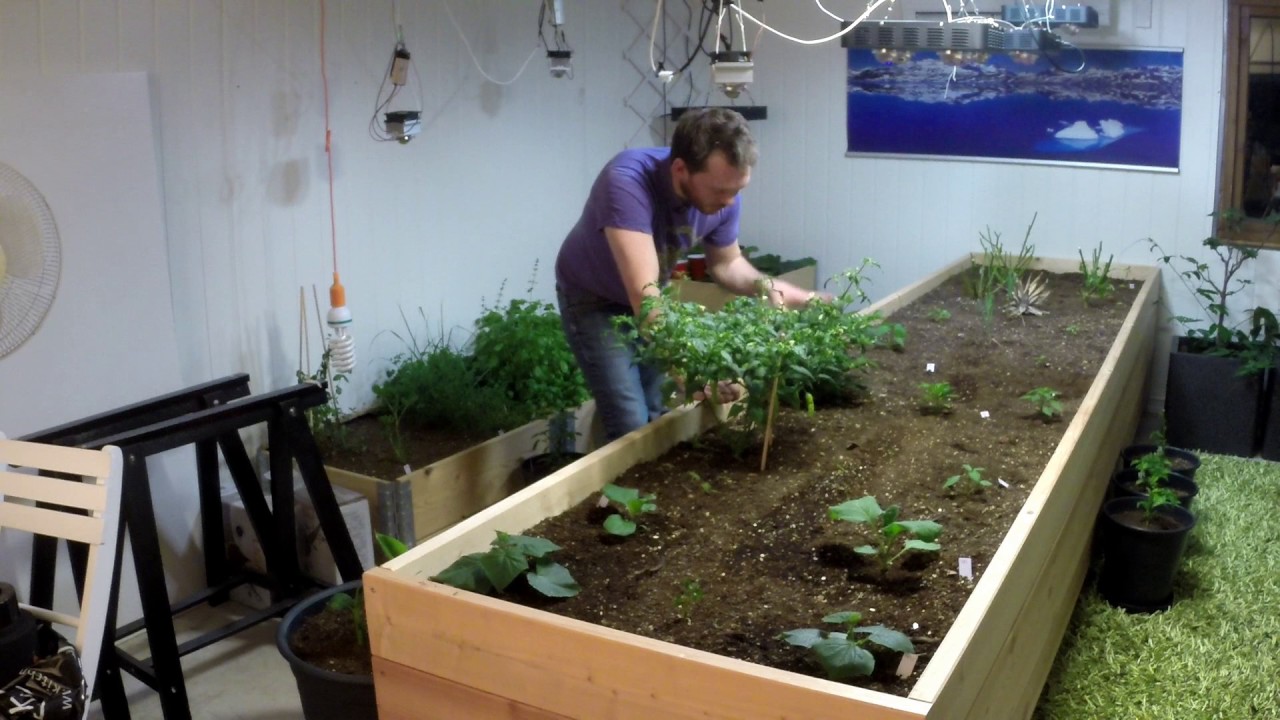 indoor garden bed indoor garden bed