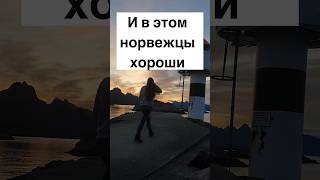 И в этом норвежцы хороши #норвегия #жизньвнорвегии #юнесбё #книги