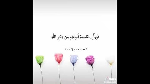 ﴿ فَوَيْلٌ لِّلْقَاسِيَةِ قُلُوبُهُم مِّن ذِكْرِ اللَّهِ ۚ .. ﴾ - سورة الزمر / قرآن كريم🌸