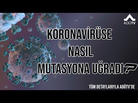 Koronavirüs Nasıl Mutasyona Uğradı?