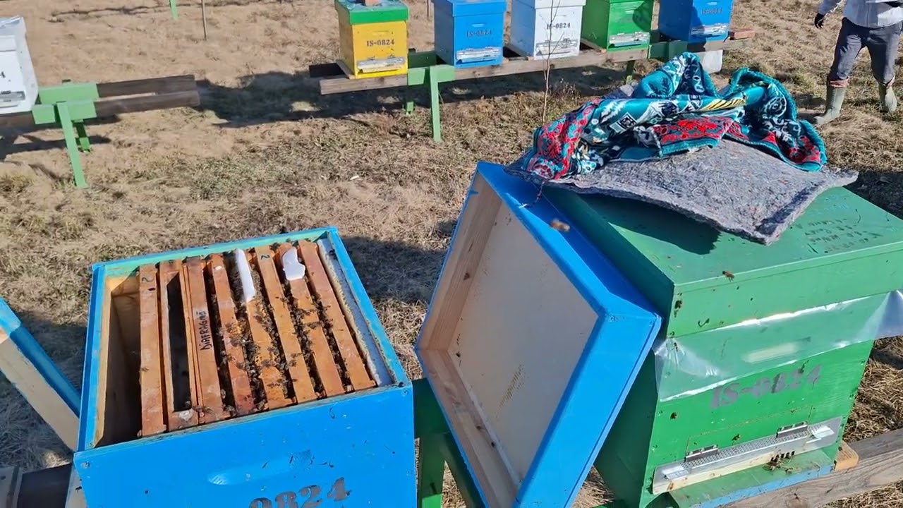 196. #14Februarie2026 - Zbor frumos, folie pusa, situatia la zi.