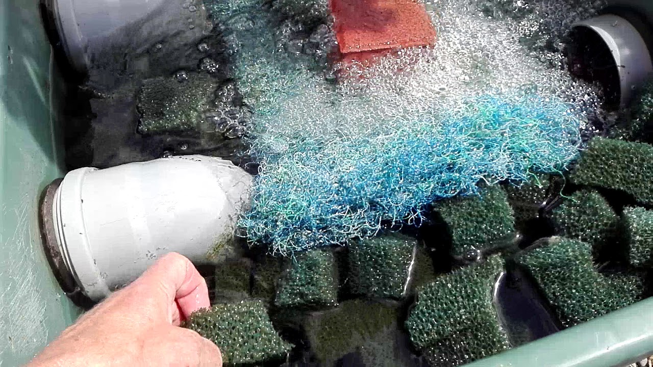 Teichfilter und Eindrücke vom Koiteich in Bo Rox YouTube