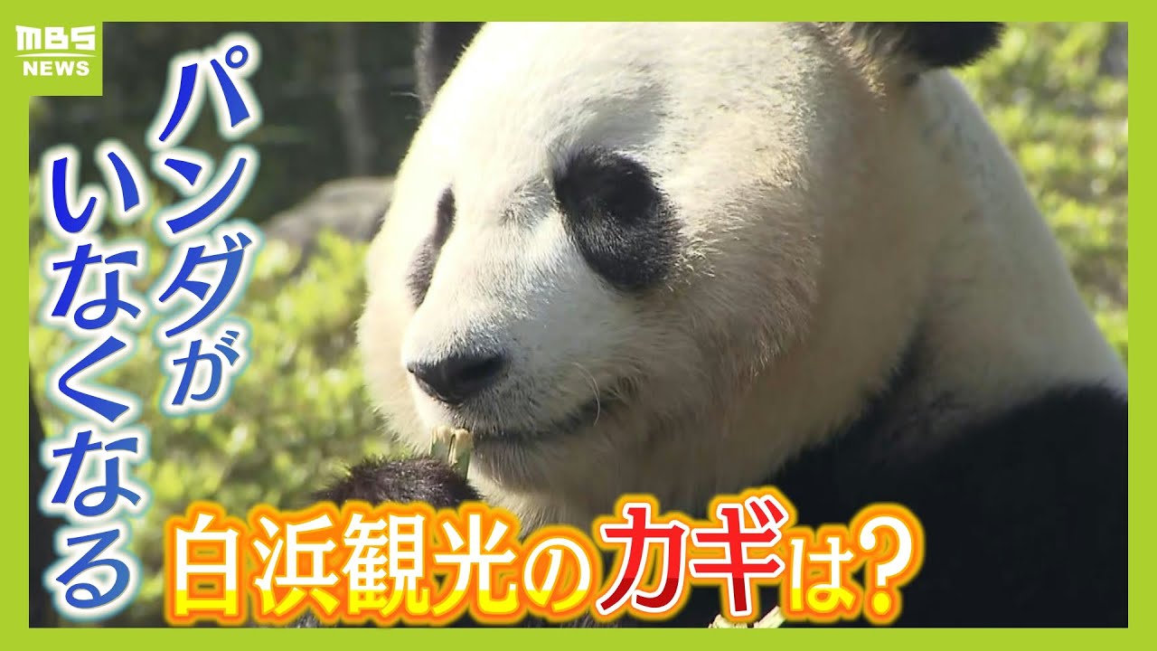 どうなる？パンダ返還後の白浜観光　温泉・ビーチ・アクセスの良さ「他とは比べられない強みある」と専門家　カギは熱海のような『街歩き』か（2025年5月7日）