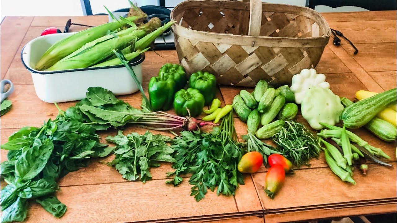 How And When I Harvest What’s Growing on the Homestead