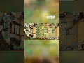 Plants vs Zombies 2 - The Ultimate PvZ2 Defense Setup
