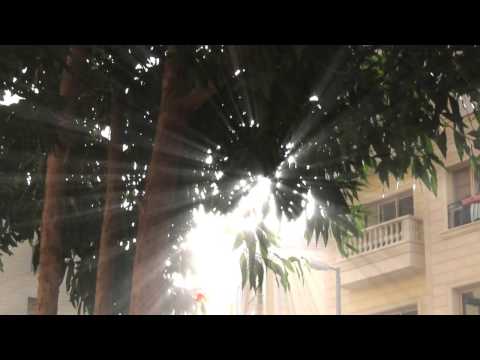 dynamic light rays