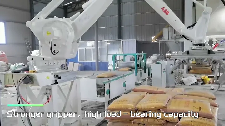 ABB Robot Palletizer Line For Bags/Double gripper palletizing line#palletizer #palletizing