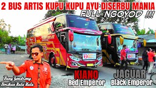 HEBOH ❗ Kedatangan 2 Bus Kupu Kupu Ayu Black Emperor 'JAGUAR' & Red Emperor 'KIANO' Disambut Meriah