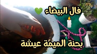 فال البيضاء 💚 بحنة الميمة عيشة 📿 التسليم لله ولرجال الله الصالحين ⚔️🕯️🕯️