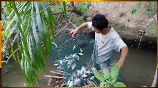 Cara Membuat Bubu Ikan | Perangkap Ikan Nila dari Kawat