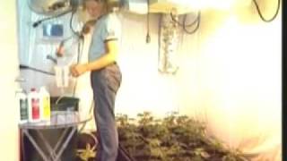 Build A Grow Room