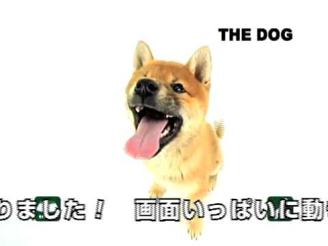 DVD「THE DOG ベスト・セレクション」予告編