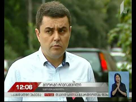 ვანო მერაბიშვილის ადვოკატის მოთხოვნა