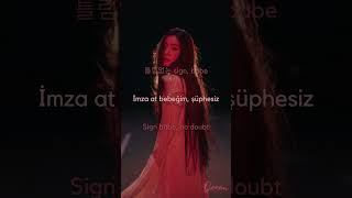 Irene - Calling Me Back Türkçe Çeviri Lyrics