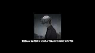 Pilihan hatiku x cinta terbaik x memilih setia (tiktok version)