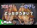 【検証】干物は天日干しと一夜干しどちらが美味しいか【研究】