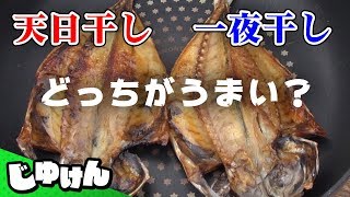 【検証】干物は天日干しと一夜干しどちらが美味しいか【研究】