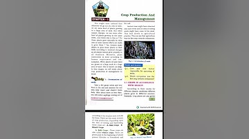 PSEB New Book Maths and Science All Solutions #pseb #solved #class8 #science #maths