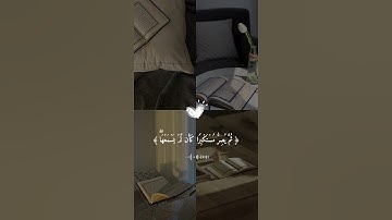 تلاوة خاشعة مع فضيلة الشيخ ياسر الدوسري #ياسر_الدوسري #قرآن #راحة_نفسية