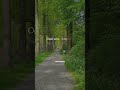 Oost west, thuis best — east or west, home is best #Shorts
