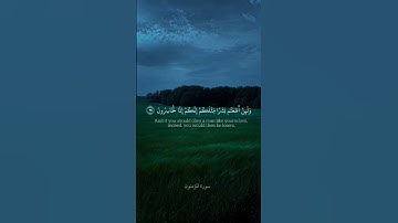 ارح سمعك سورة المؤمنون |بتلاوة الشيخ ياسر الدوسري ✨️🤍 #quran #yasseraldossary #سورةالمؤمنون
