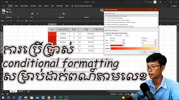#13 ការប្រើប្រាស់conditional formatting សម្រាប់ដាក់ពណ៍តាមលេខ #MEYSIN #Excel 2019