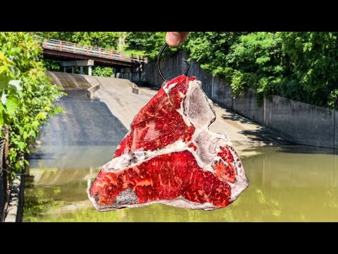The Biggest One I've Ever Seen Lives In This Forbidden Spillway!!!