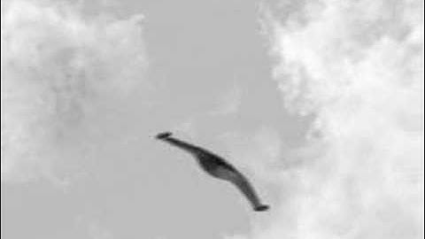 Early Lightwave Render