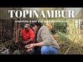 Cosecha de Topinambur! | Cosechar para Vender #VideoPopurrí de Mercadito