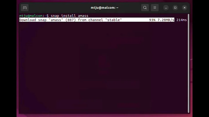 TMack - Amass - snap install - #osint #amass #recon #tools