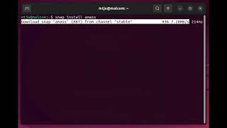 Information TMack - Amass - snap install - #osint #amass #recon #tools Guide