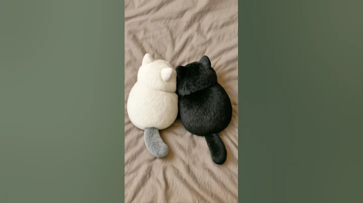 Video 10984901: cat kitty cutecat pets, kitty pets cutecat animals, kitty pet cutecat funny, cat pets cute kitty